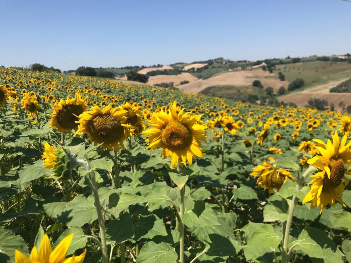 Il Posto Perfetto Bed & Breakfast Santa Maria Nuova  Luaran gambar