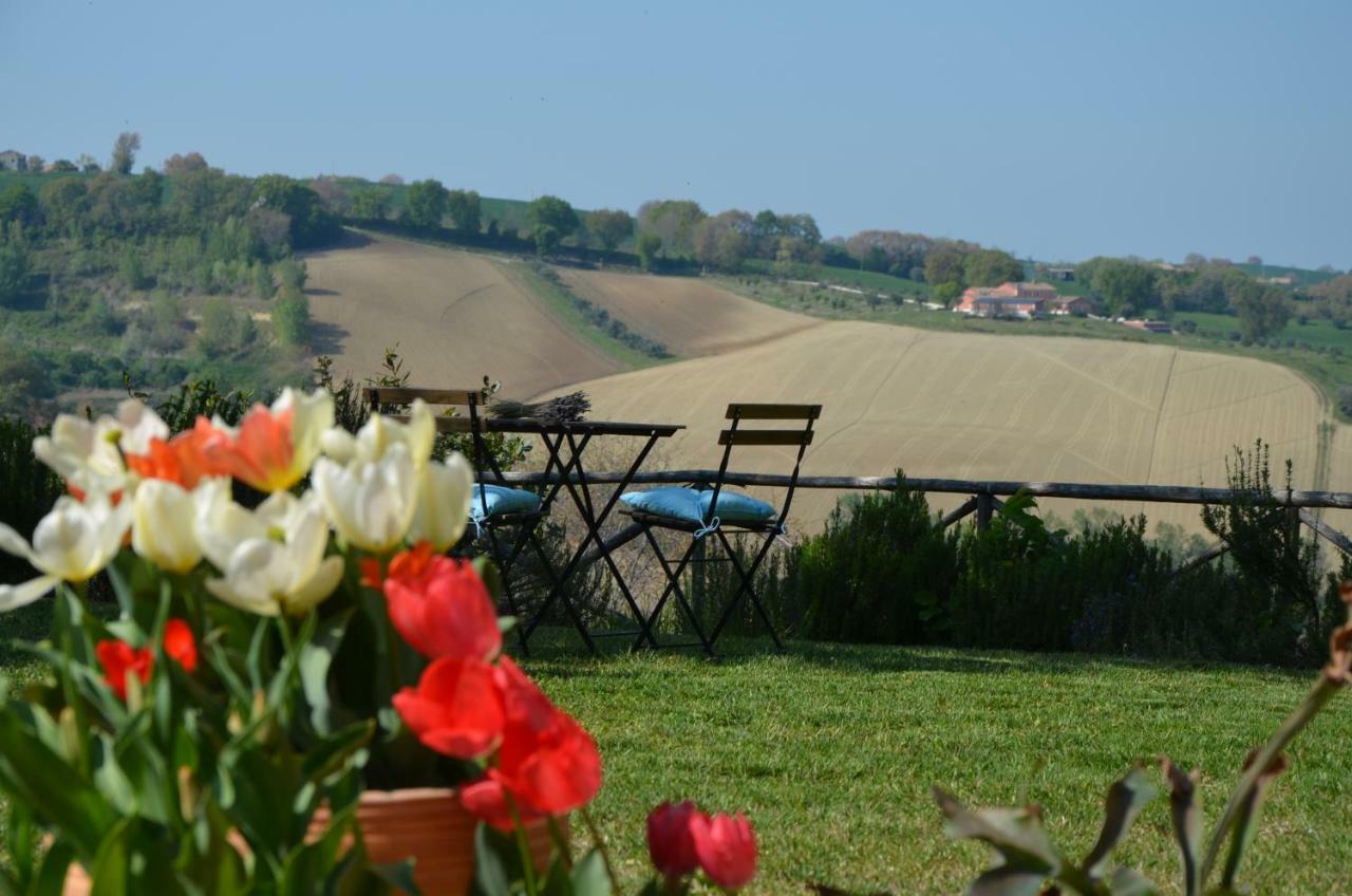 Il Posto Perfetto Bed & Breakfast Santa Maria Nuova  Luaran gambar