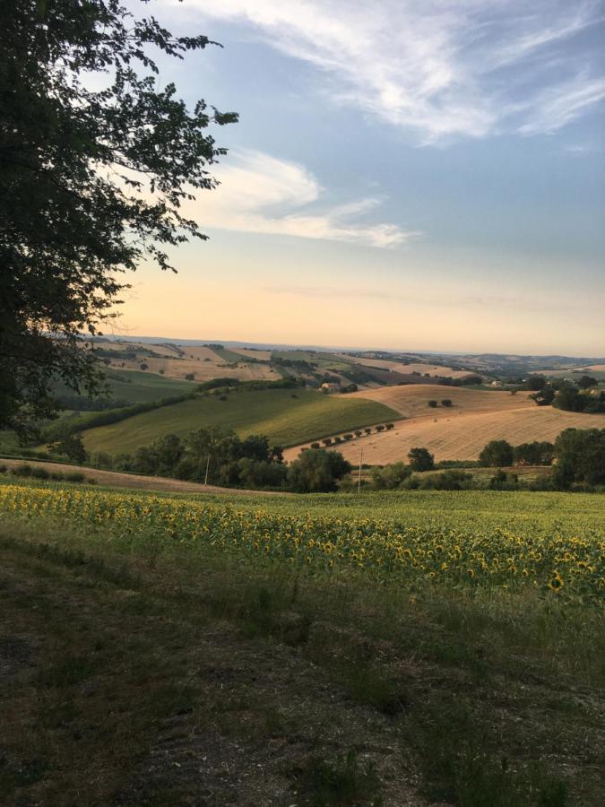 Il Posto Perfetto Bed & Breakfast Santa Maria Nuova  Luaran gambar